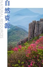 自然资源